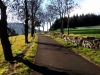 08-Route_bonheur