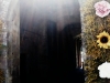 13-La_porte_fleuries