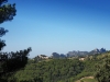 12-Suzette_et_les_Dentelles
