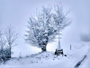 05-Givre