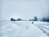 08-Solitude