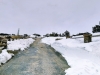 08-La_route_du_Mont_Aigoual
