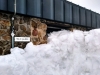 12_Mont_Aigoual_sous_la_neige