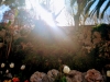 09-Sete