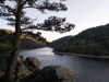 01-GorgesDeLaLoire-1
