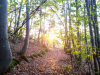 04-GorgesDeLaLoire-4