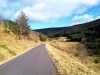 2020_Coulemelle-5-Les_Settoux