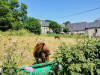 1_2025-VelAuvergne-15