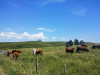1_2025-VelAuvergne-19