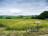 07-Pas_dans_la_roue_mais_en_solo