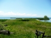 17-Petit_coin_de_paradis_un_banc_les oiseaux_-_Le_soleil_et_un_ciel_toujours_azure