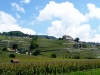 18-Les_coteaux_et_leur_vignes_en_terrasse