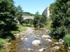 03-Le_ruisseau_de_Mazan_a_Saint-Cirgues-en-Montagne