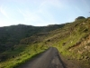 29-et_toujours_cette_route_bonheur