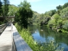 11-Arouca pont de singe