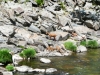 14-Arouca nature