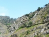 16-Arouca western