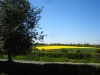 22-Vers_Menetou-Ratel