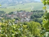 27-Les_Vignes_de_Sancerre