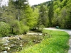 17-Vallee_de_Chartreuse