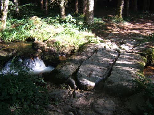 24-Vallee des Darots avant Vollore-Montagne
