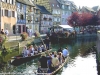 colmar(1)