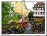 colmar_87