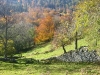 07-la-scie-granjean