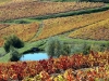 01-Paysage_Beaujolais