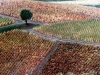 03-Vaux-en-beaujolais
