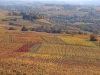 08-La_campagne_beaujolaise
