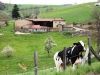 Ferme des Monts du Lyonnais