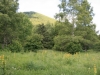 05-Puy-de-Come-depuis-Chabanne-vieille