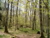 06-Les-pres-de-Come