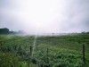 09_fraicheur