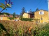 15_LaCouleurJaune
