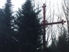 19-Foret-Morvandelle