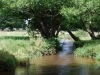 21-Vers_Mouasse