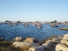 02_O-Grove