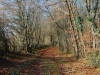 33-Bois_de_Saint_Reverien