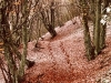 03-sentier-ouest