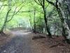 11-sentier-au-sud