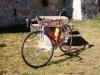 12-Vitus-992