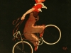 46