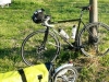 SURLY-Straggler