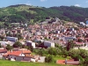 24-Unieux