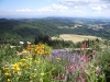 31-Panorama_depuis_Montarcher