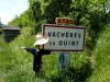 18-Vacheres_en_Quint