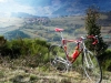 03-Vitus-992
