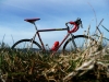 04-Vitus-992
